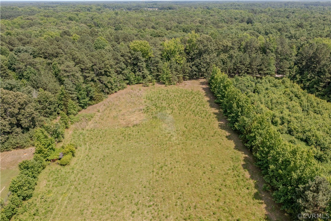 15895 Loving Union Road Disputanta, VA 23842 - Photo 32 of 42 a view of a yard with plants