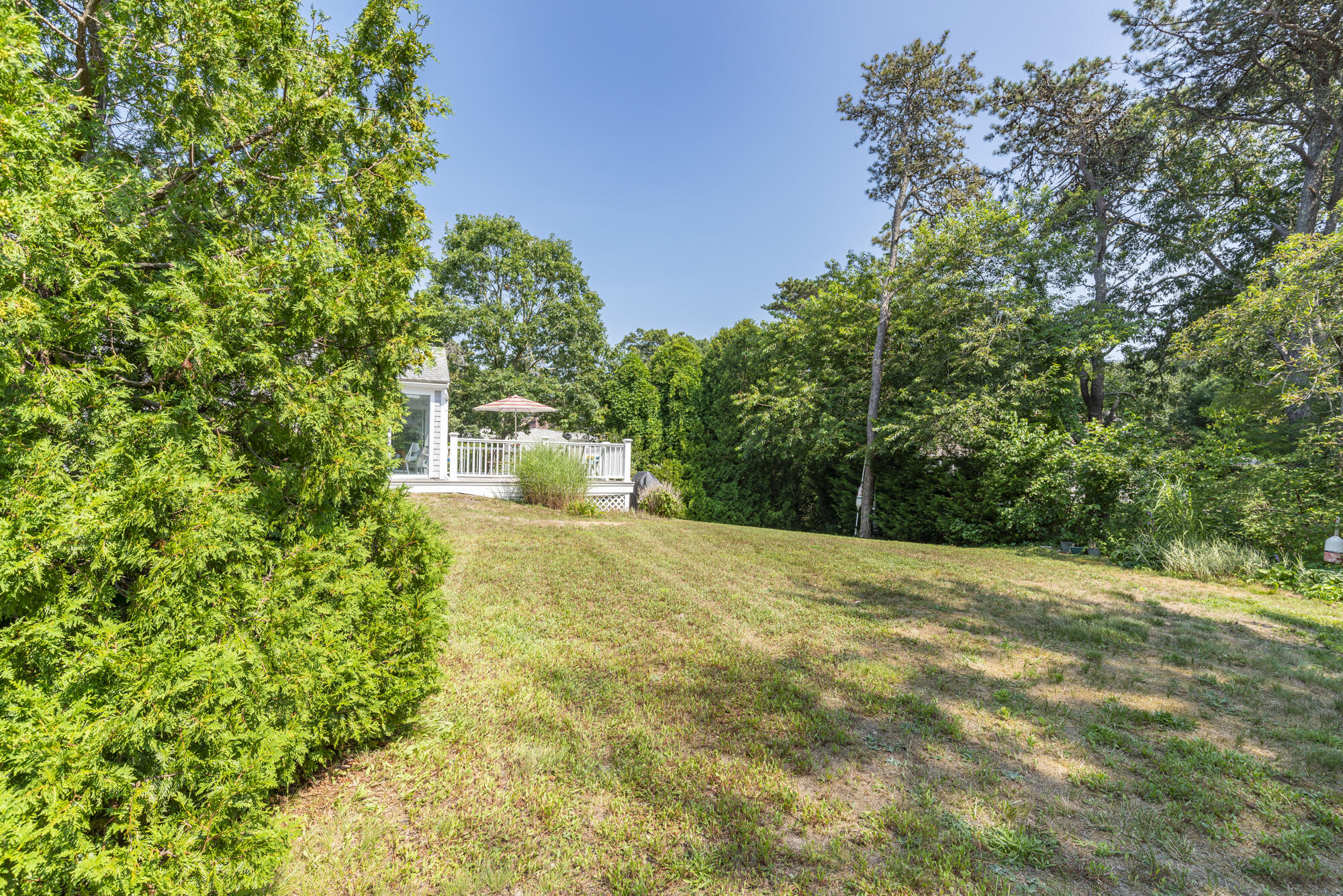 81 Marsh View Road Chatham, MA 02633 - Photo 26 of 35 DSC05891