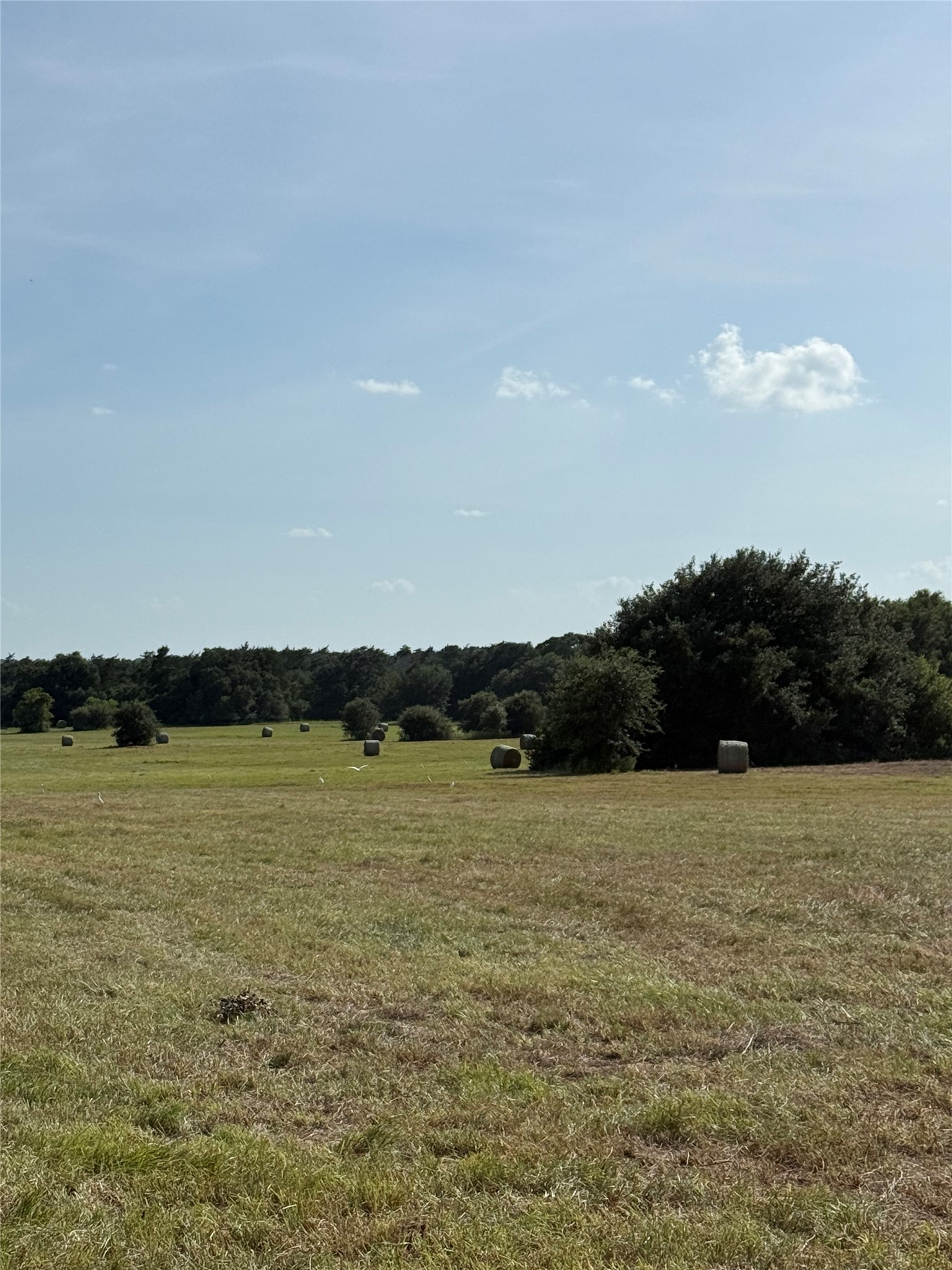 2 Reitz Quinn Road Cat Spring, TX 78933 - Photo 3 of 15 Gallery Image 3