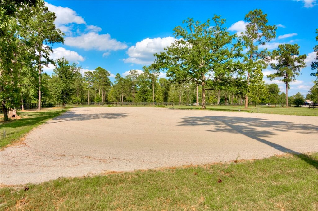 176 Whipper-In Trail Aiken, SC 29803 - Photo 10 of 13