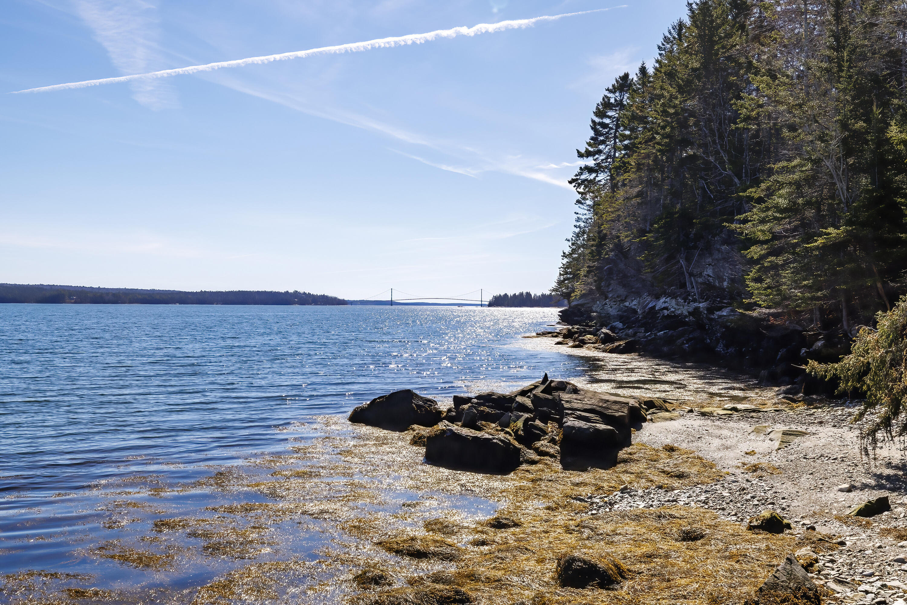 465 Eggemoggin Road Little Deer Isle, ME 04650 - Photo 49 of 67 74- 465 Eggemoggin Road HiRes-DTP (1)