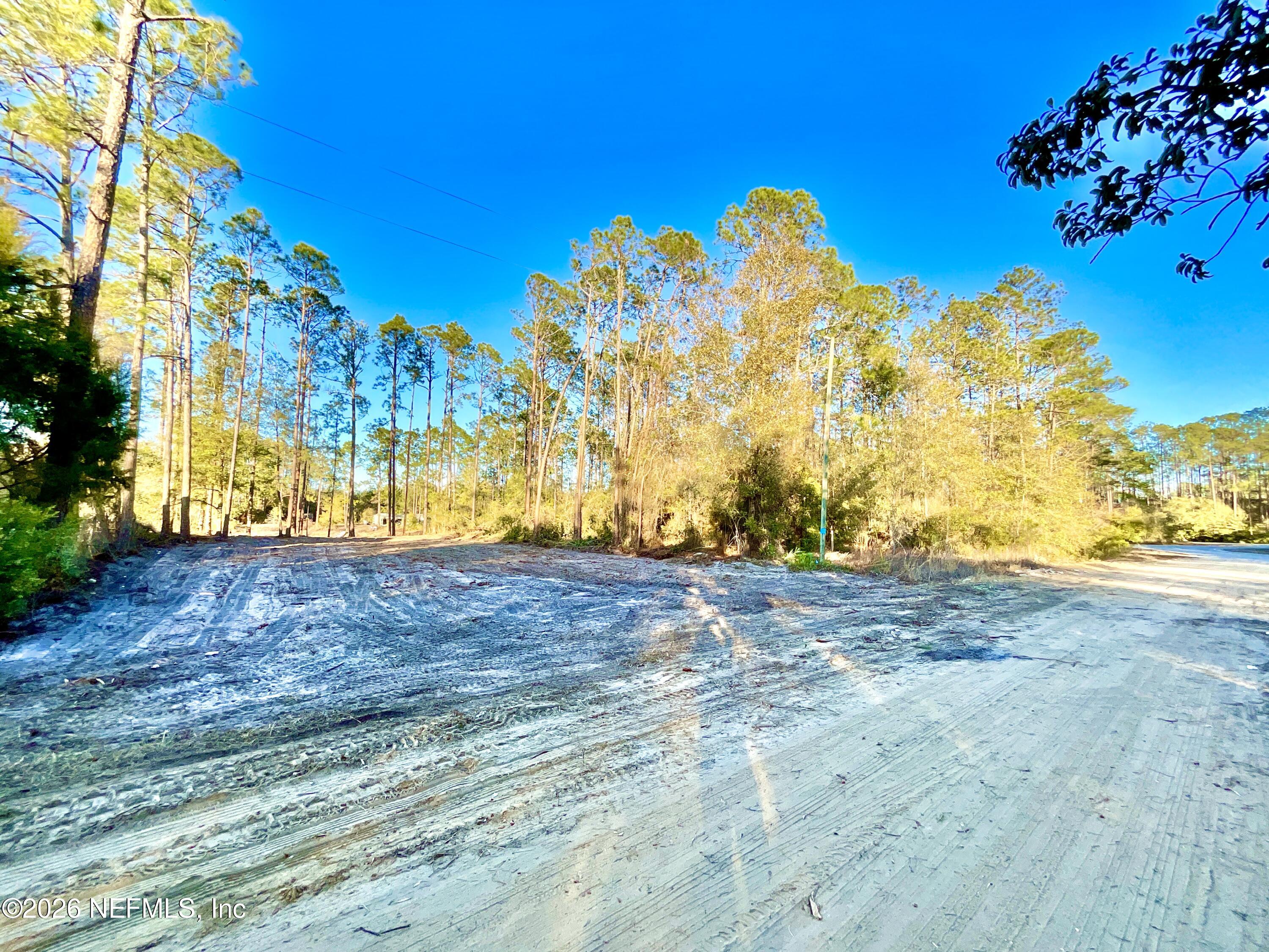 104 Howard Drive Interlachen, FL 32148 - Photo 2 of 6 a view of a yard with an tree
