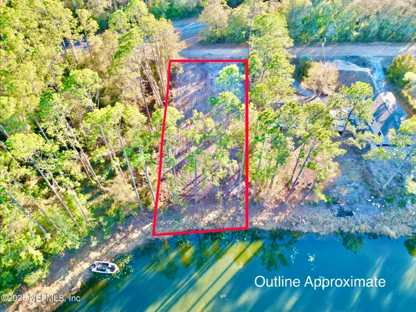 a view of a flower in a garden