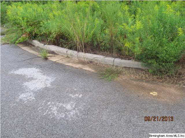 0 Lock 4 Road, Unit 3 PARCEL Lincoln, AL 35096 - Photo 4 of 10