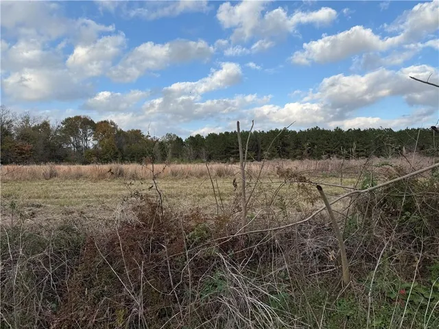 $59,900 | 0 Dewey Bernard Road, Mansura, LA 71350