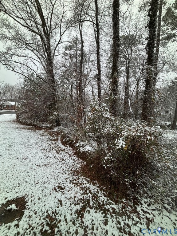 3007 Valleyfield Road Henrico, VA 23228 - Photo 27 of 38 a view of a yard with plants and trees