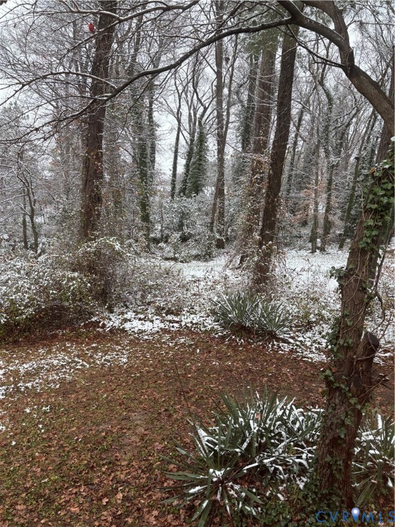 3007 Valleyfield Road Henrico, VA 23228 - Photo 29 of 38 a view of outdoor space and trees