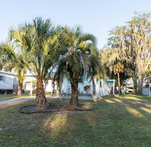 a view of yard with trees