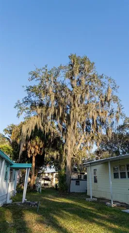 a view of house with a big yard