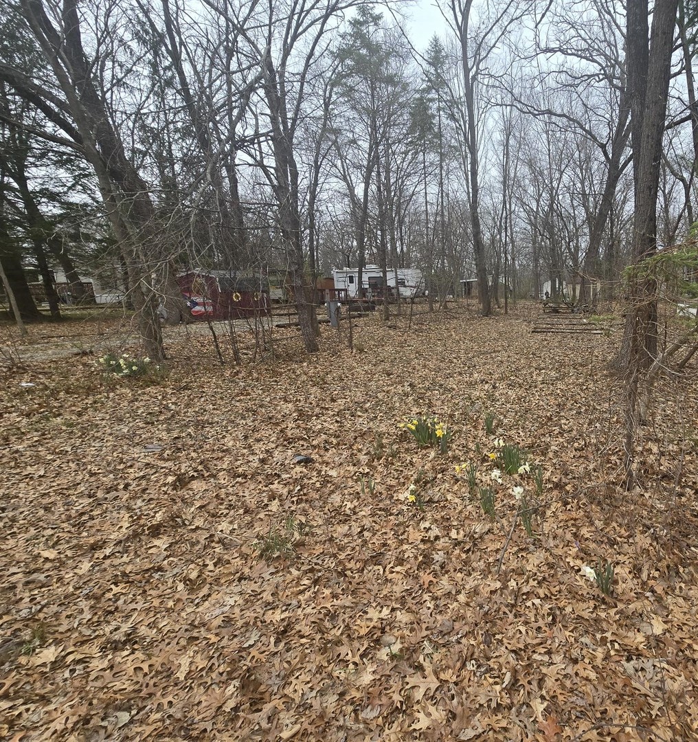 a backyard of a house with lots of tall trees