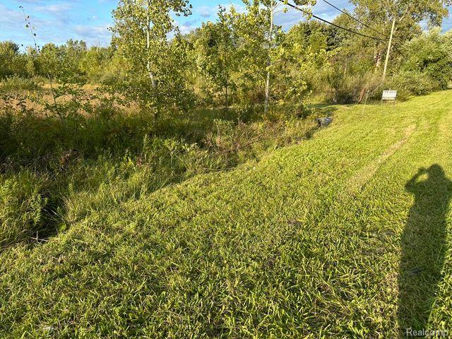 0 Division Road Yale, MI 48097 - Photo 5 of 5