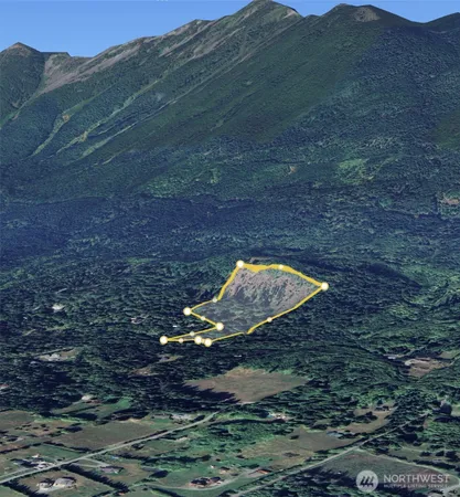 a view of a backyard with green space