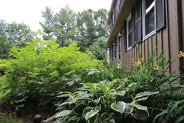 40 Old Farm Road North Attleboro, MA 02760 - Photo 4 of 36 a view of a garden with plants