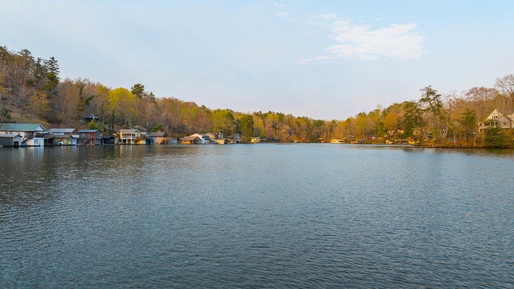 502 Caledonia Road Landrum, SC 29356 - Photo 34 of 39