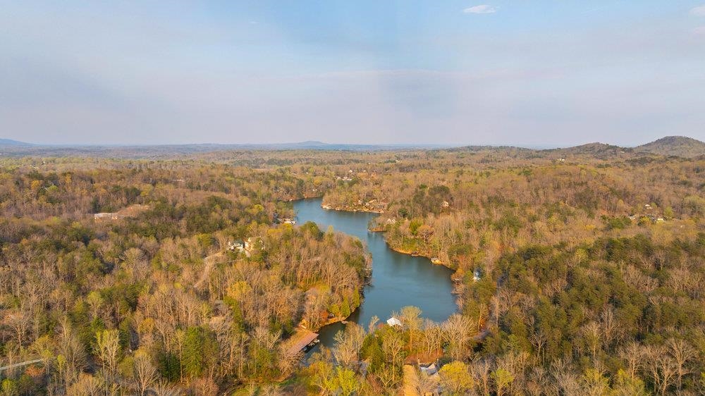 502 Caledonia Road Landrum, SC 29356 - Photo 35 of 39