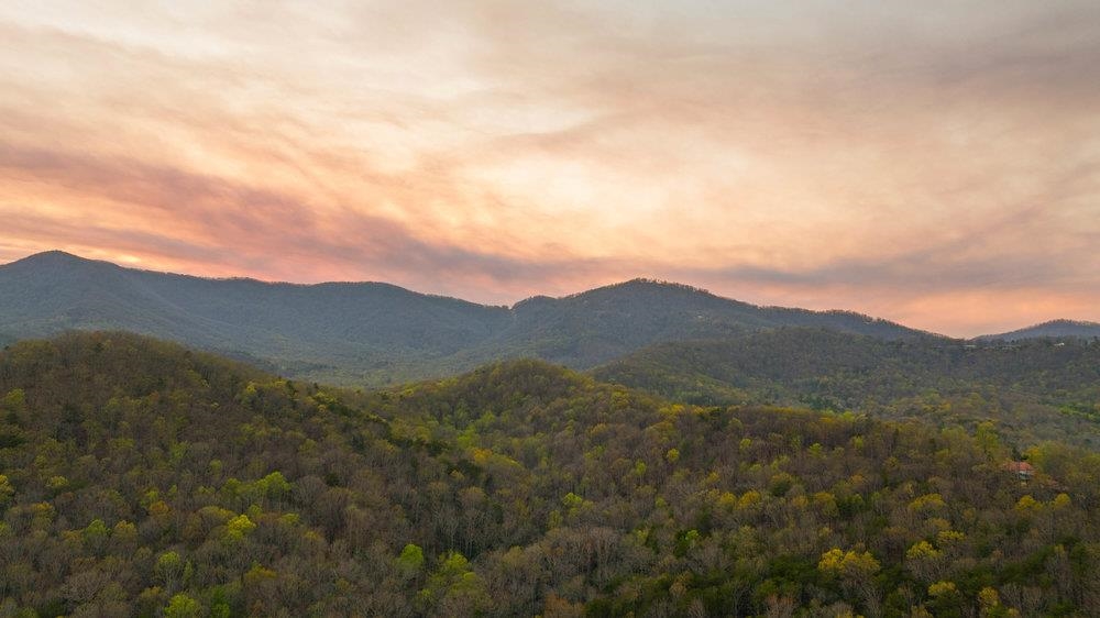 502 Caledonia Road Landrum, SC 29356 - Photo 36 of 39