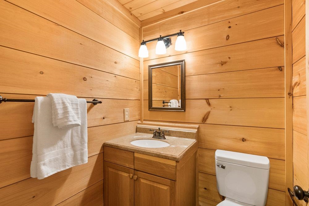 502 Caledonia Road Landrum, SC 29356 - Photo 10 of 39