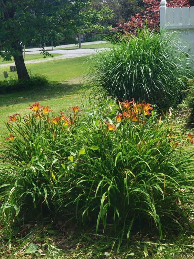 1261 Stoystown Road Friedens, PA 15541 - Photo 49 of 54 Gallery Image 49