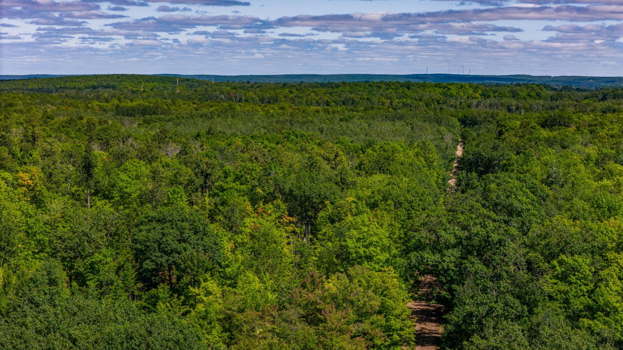 40-acres Ison Road Crandon, WI 54520 - Photo 31 of 31 Gallery Image 31