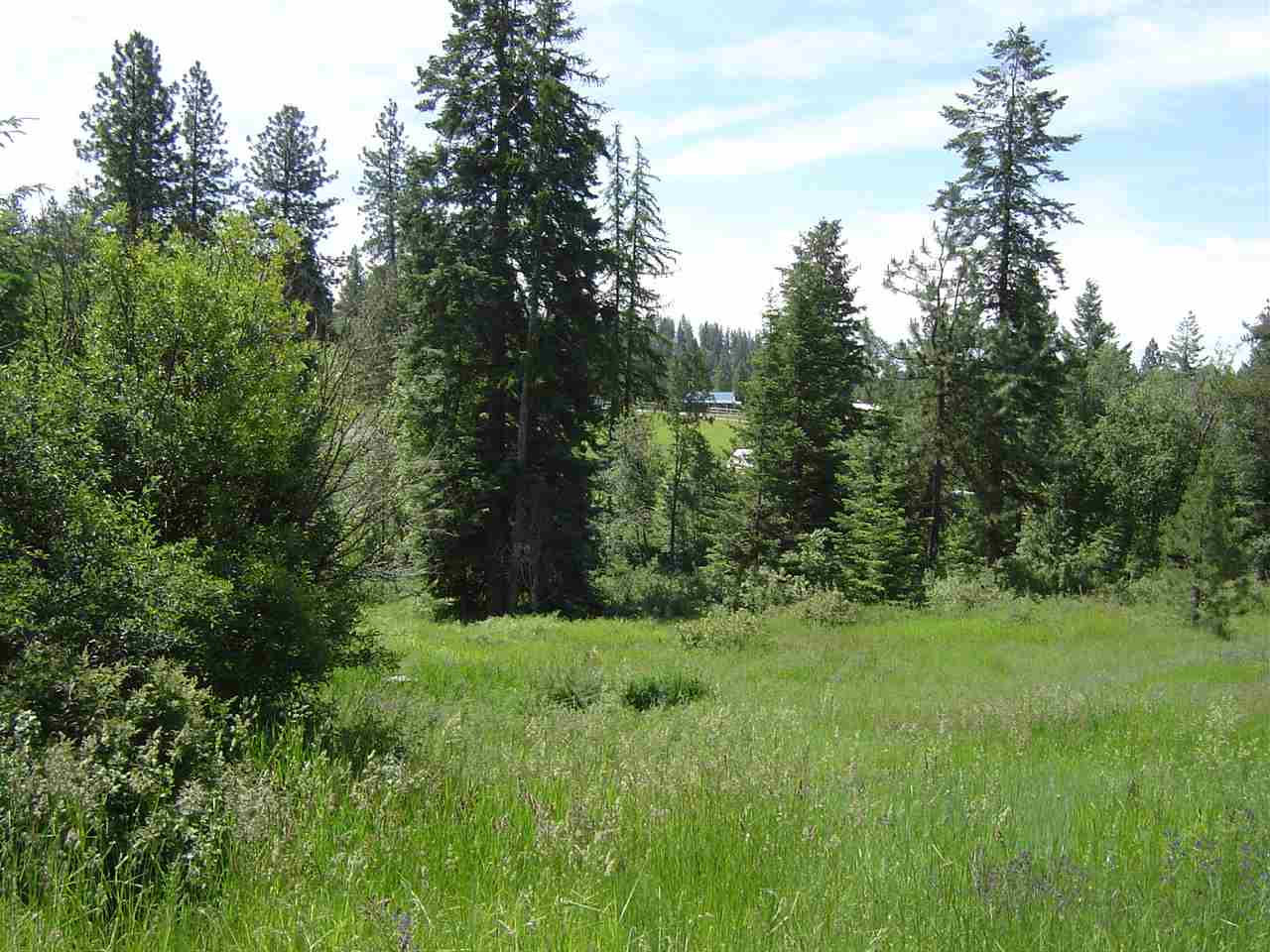 0 Conklin Rd Drive Chattaroy, WA 99003 - Photo 3 of 8