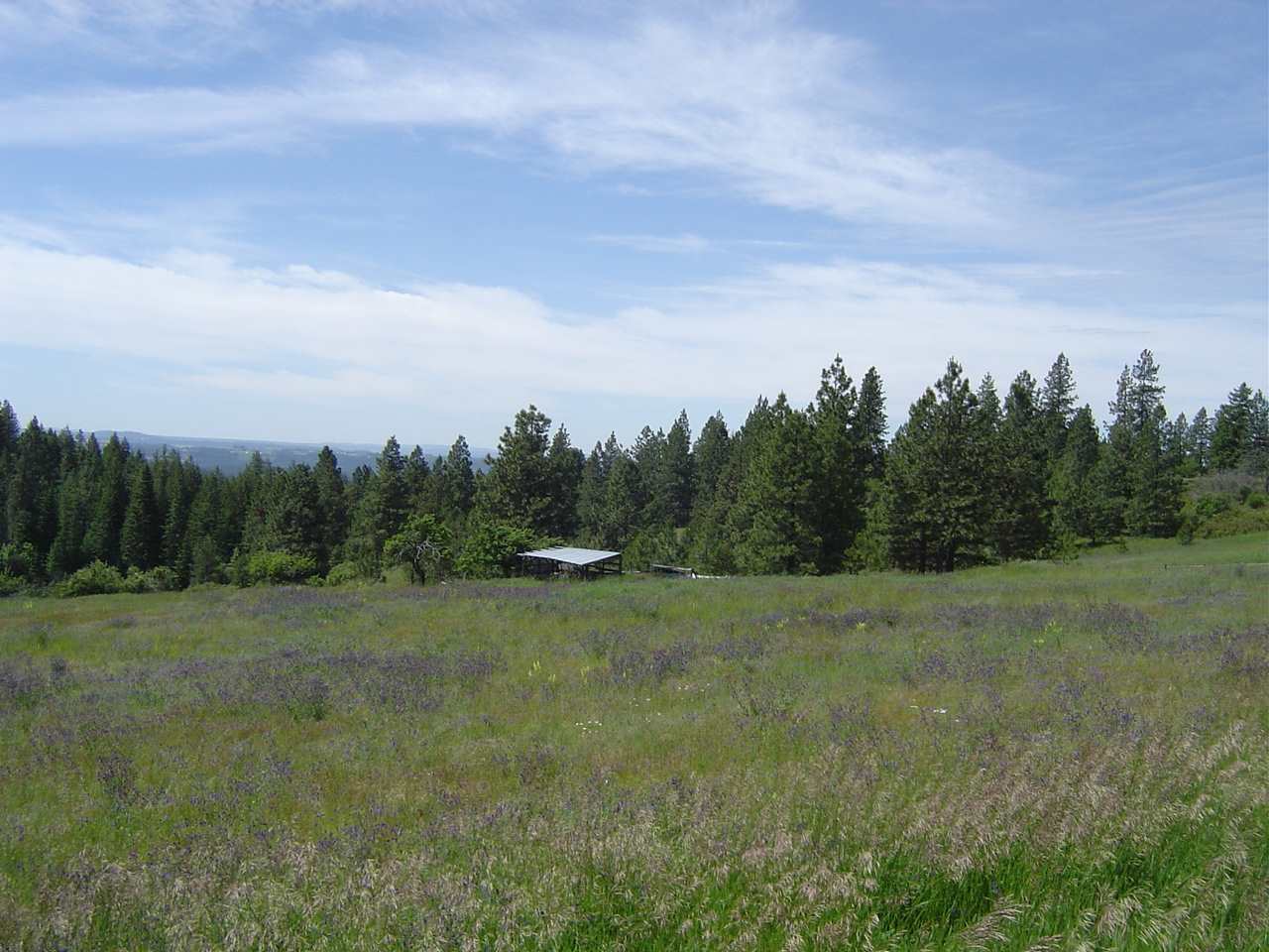 0 Conklin Rd Drive Chattaroy, WA 99003 - Photo 4 of 8