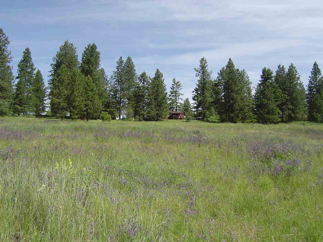 0 Conklin Rd Drive Chattaroy, WA 99003 - Photo 8 of 8
