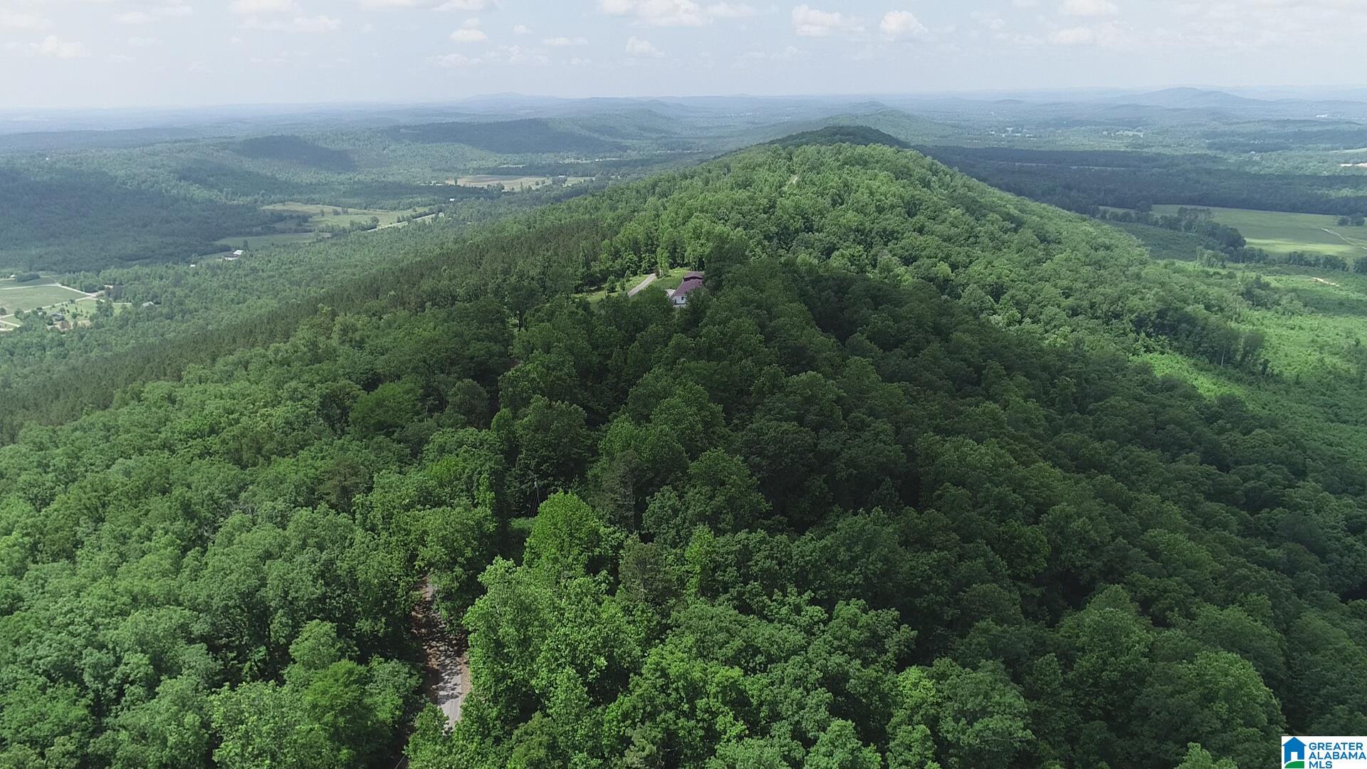 0 Beaver Mountain Road, Unit 38 ACRES Ashville, AL 35953 - Photo 1 of 4