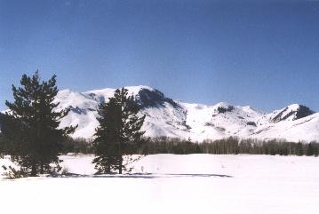 Primary Photo