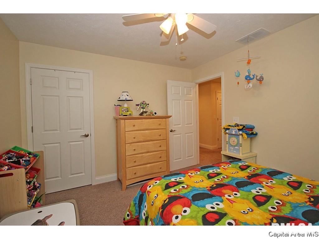 702 Heathrow Lane Rochester, IL 62563 - Photo 15 of 28
