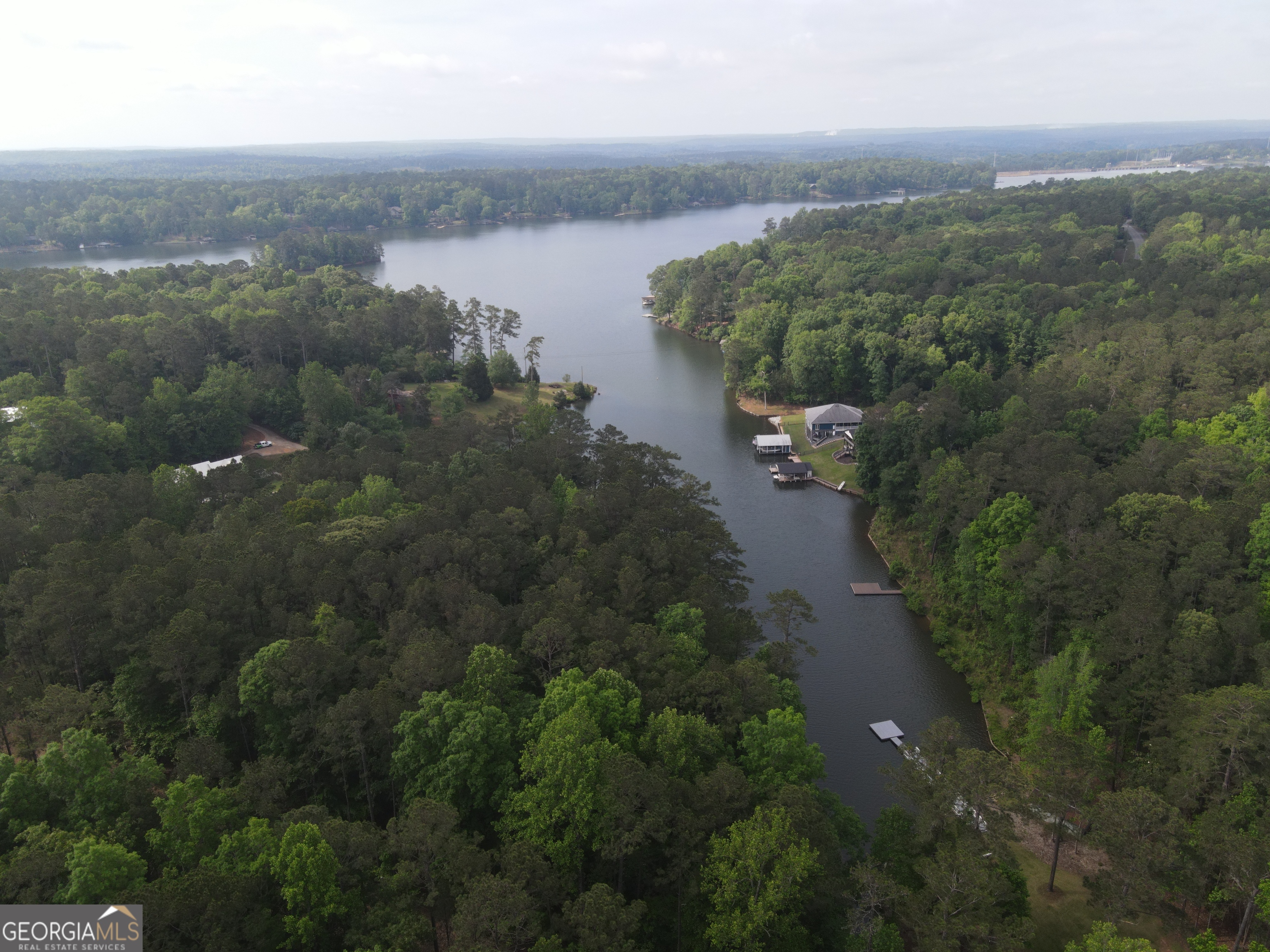 0 Davis Road Hamilton, GA 31811 - Photo 15 of 16