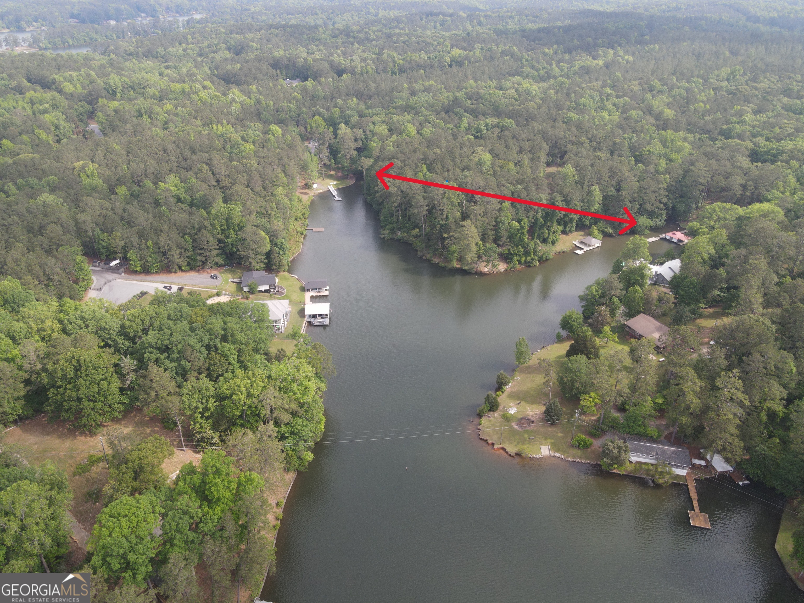 0 Davis Road Hamilton, GA 31811 - Photo 2 of 16