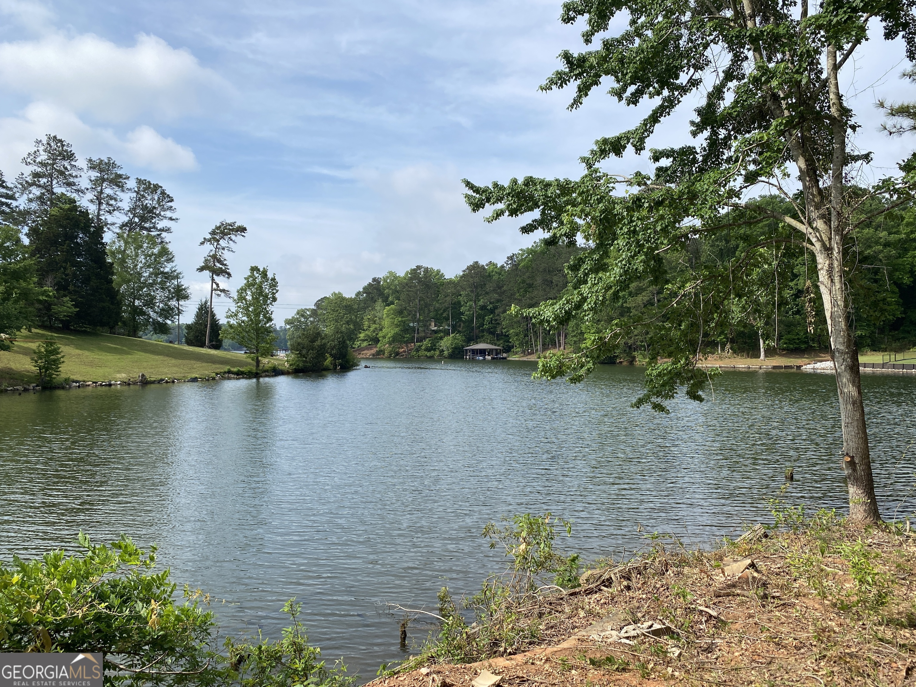 0 Davis Road Hamilton, GA 31811 - Photo 3 of 16