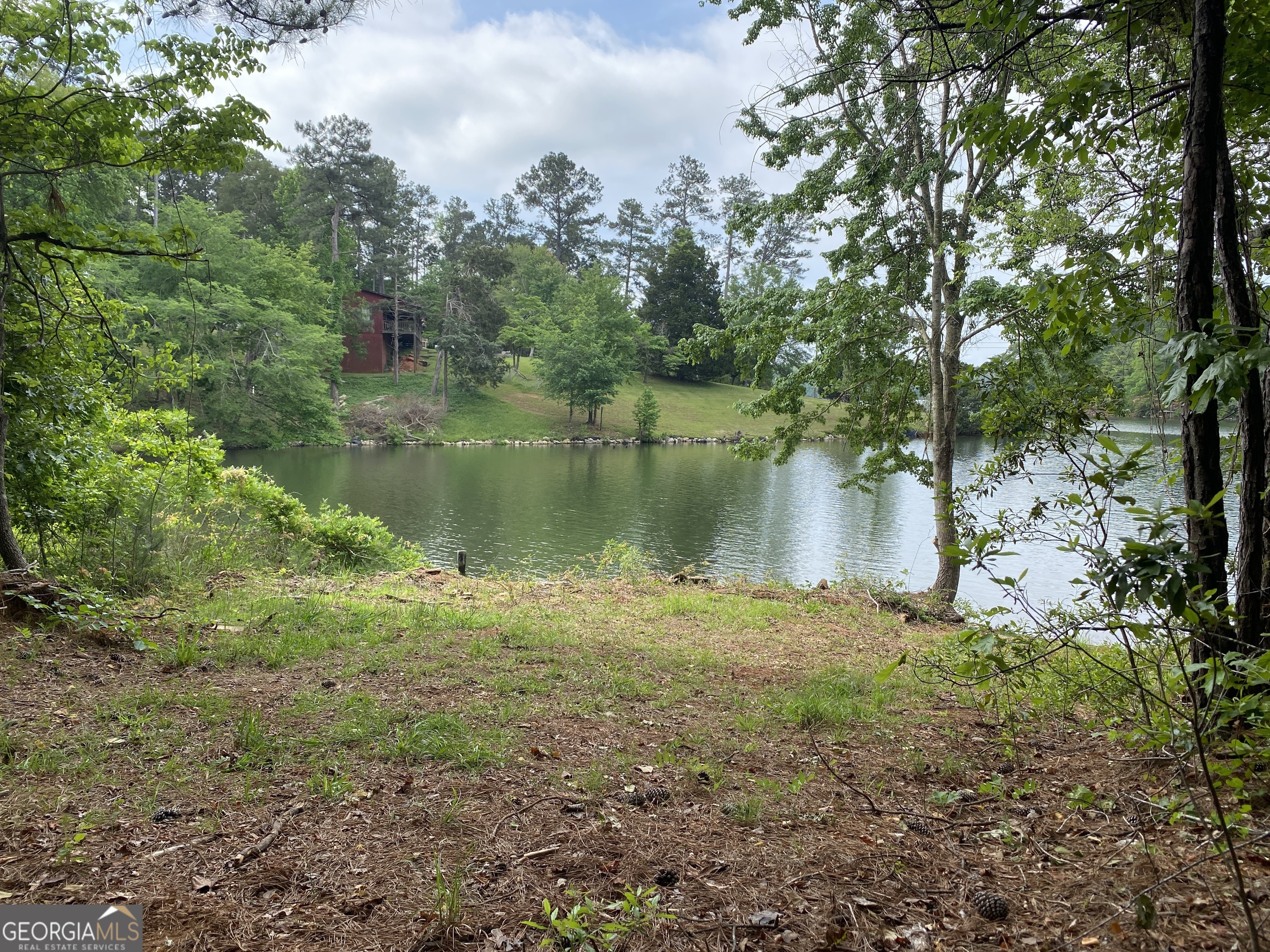 0 Davis Road Hamilton, GA 31811 - Photo 4 of 16