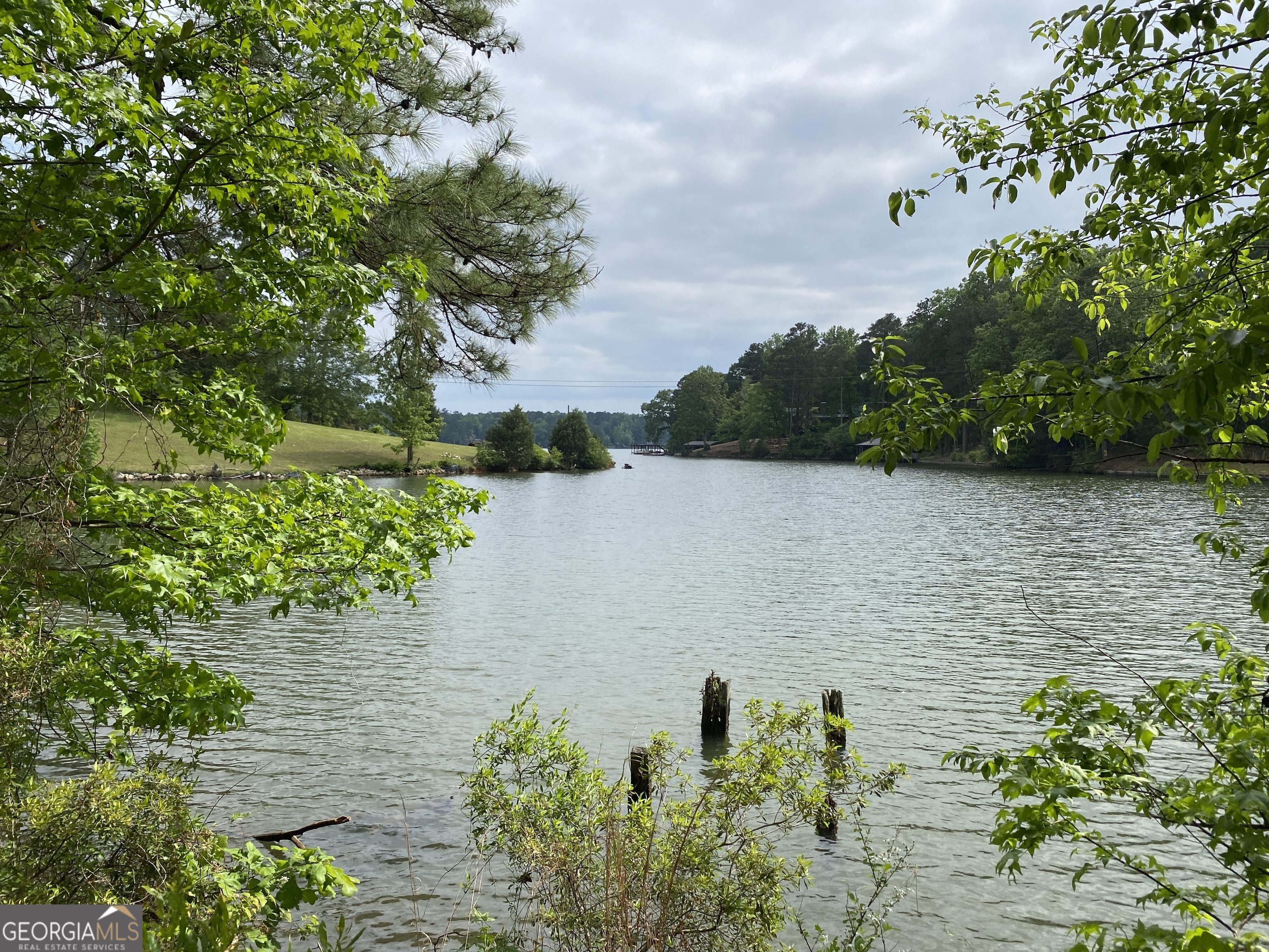 0 Davis Road Hamilton, GA 31811 - Photo 5 of 16