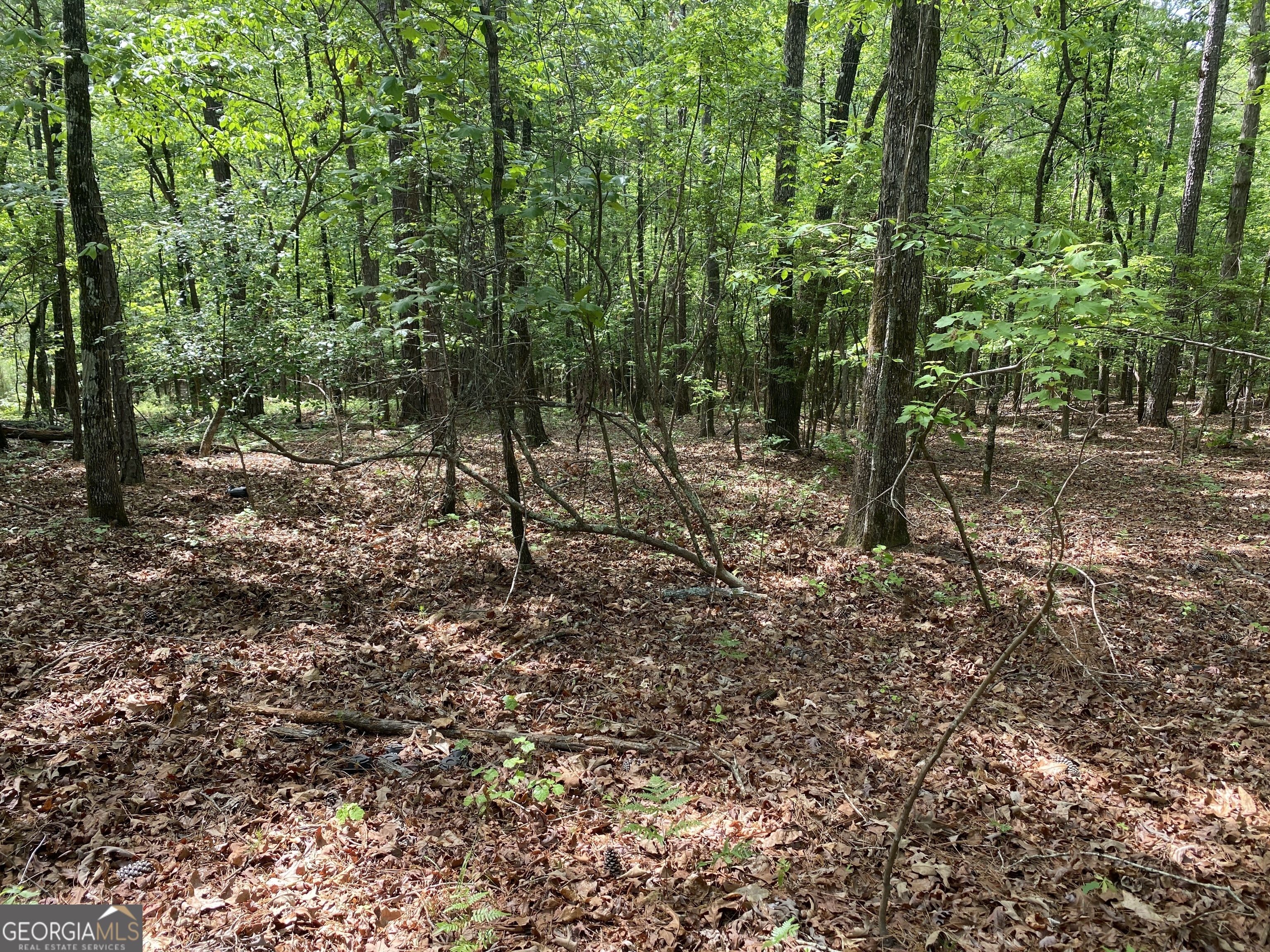 0 Davis Road Hamilton, GA 31811 - Photo 6 of 16