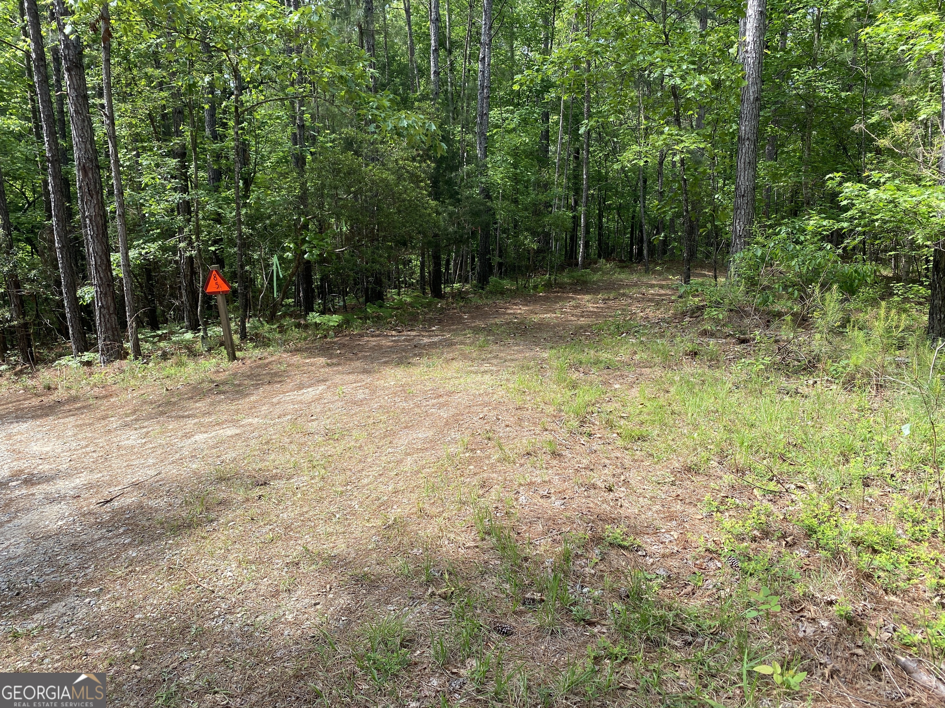 0 Davis Road Hamilton, GA 31811 - Photo 7 of 16