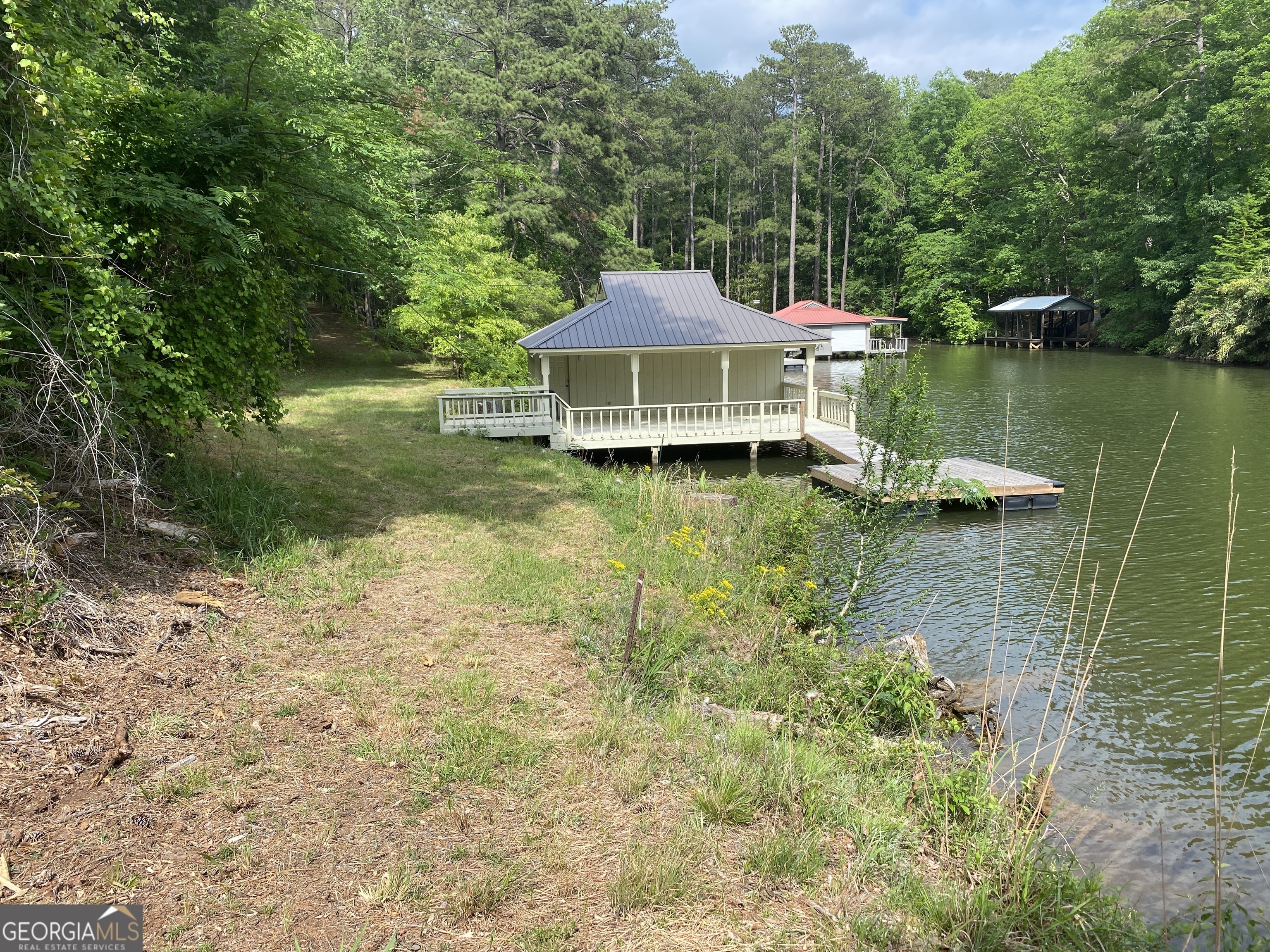 0 Davis Road Hamilton, GA 31811 - Photo 10 of 16