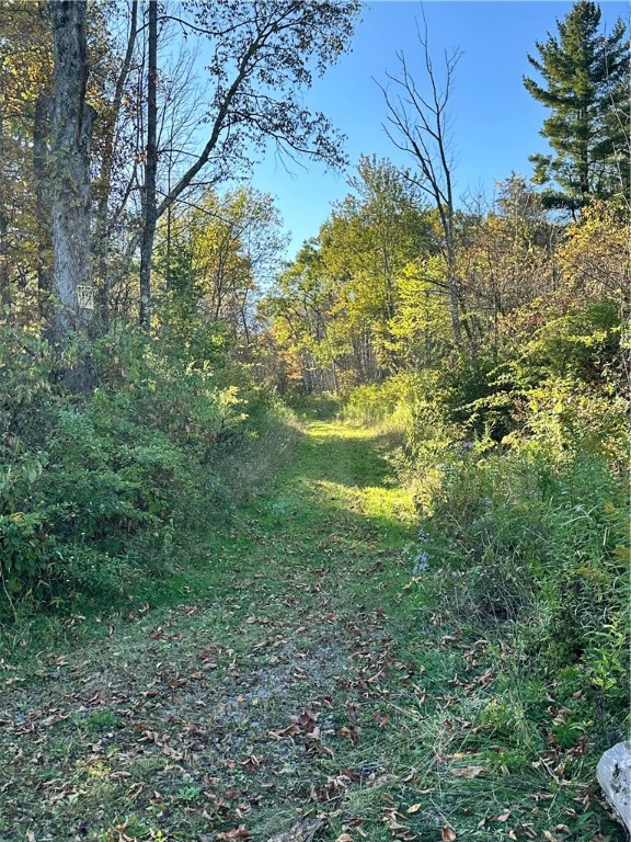 Hill Road Oxford, NY 13830 - Photo 2 of 9