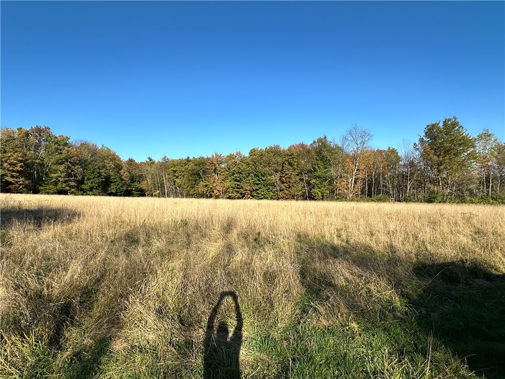 Hill Road Oxford, NY 13830 - Photo 9 of 9