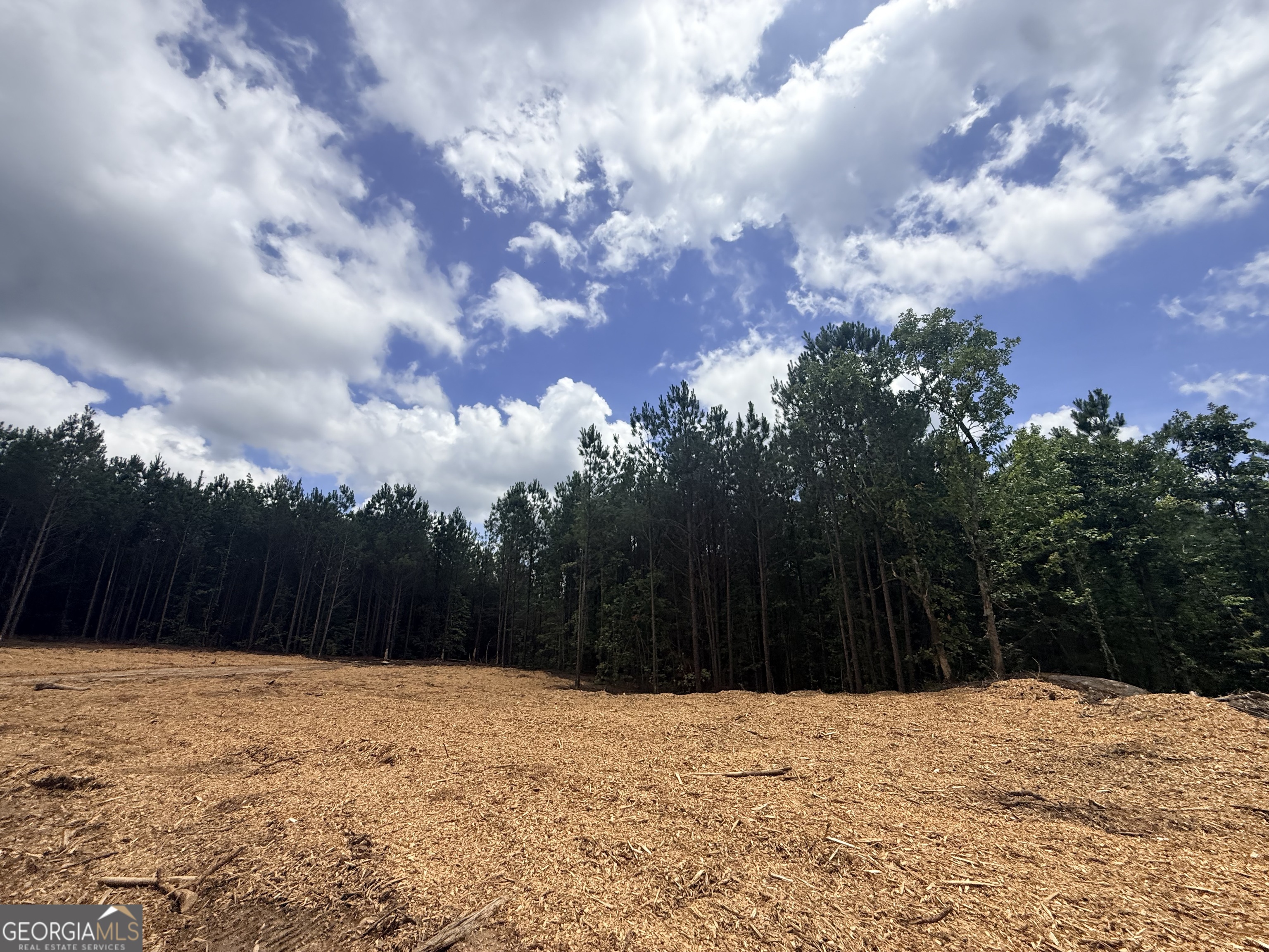2787 Cedar Creek Road Elberton, GA 30635 - Photo 49 of 88