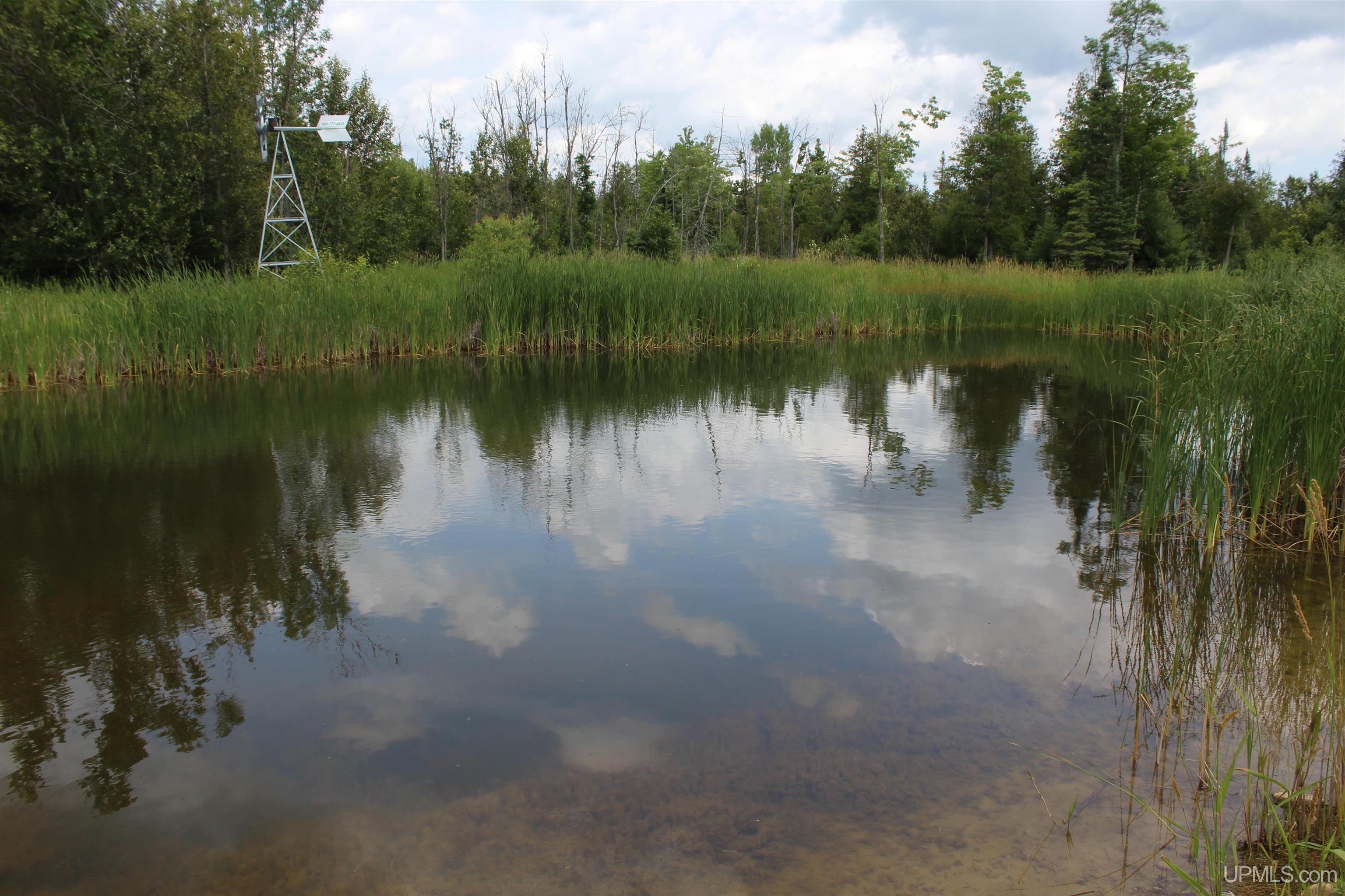 W2588 31 Lane Daggett, MI 49821 - Photo 56 of 58