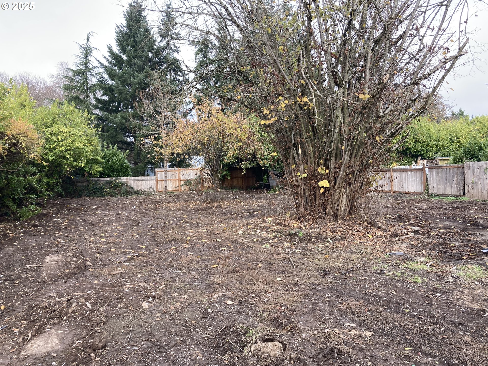 295 Knapp Street Eugene, OR 97404 - Photo 2 of 6