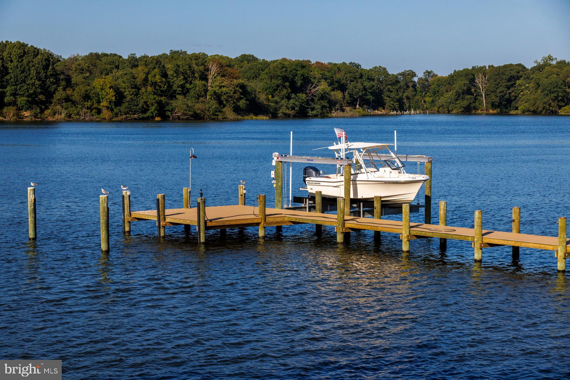 26992 Presquile Road Easton, MD 21601 - Photo 40 of 43 Private Dock w/Lift