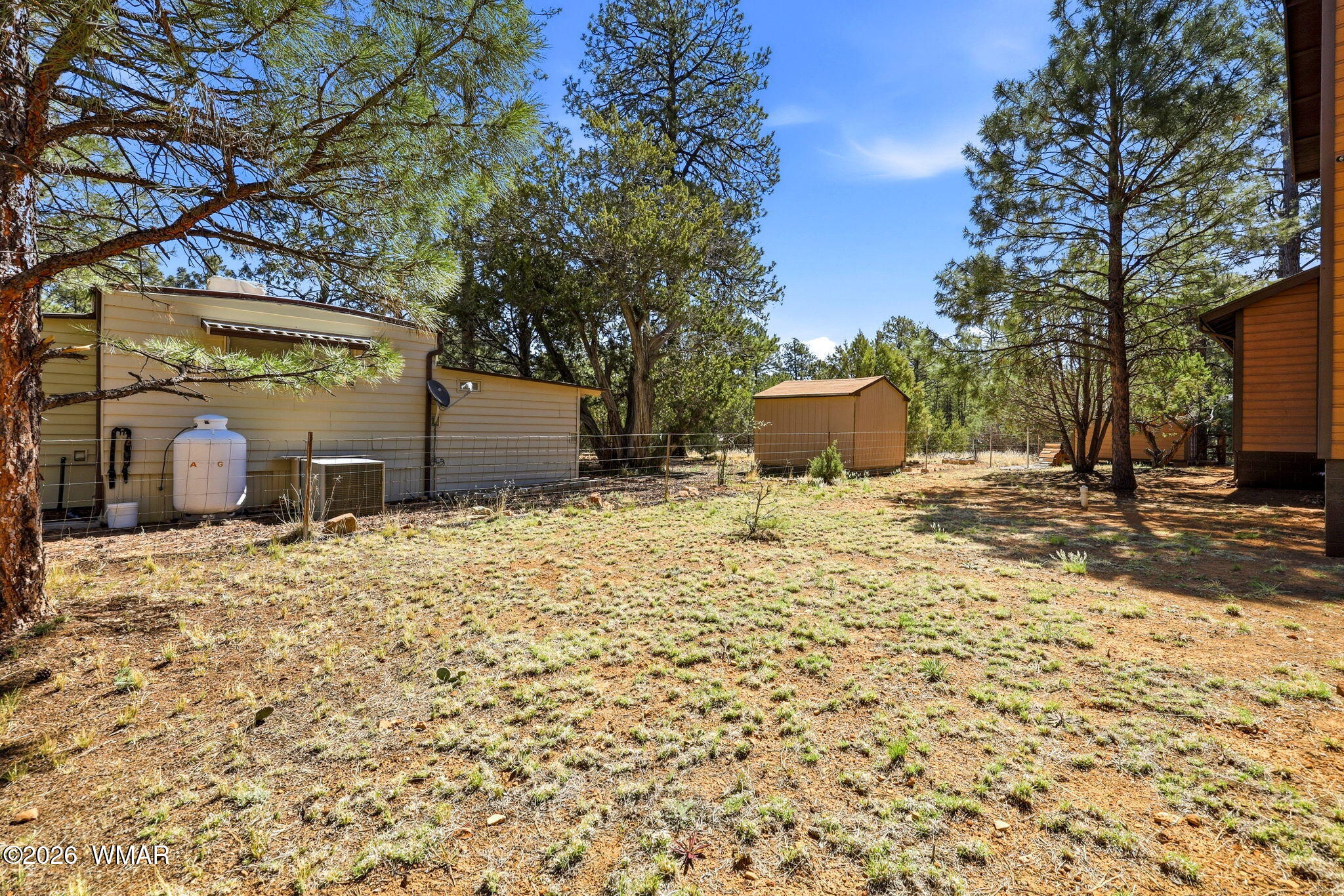 2877 Wahoo Road Overgaard, AZ 85933 - Photo 30 of 42 a backyard of a house with a tree