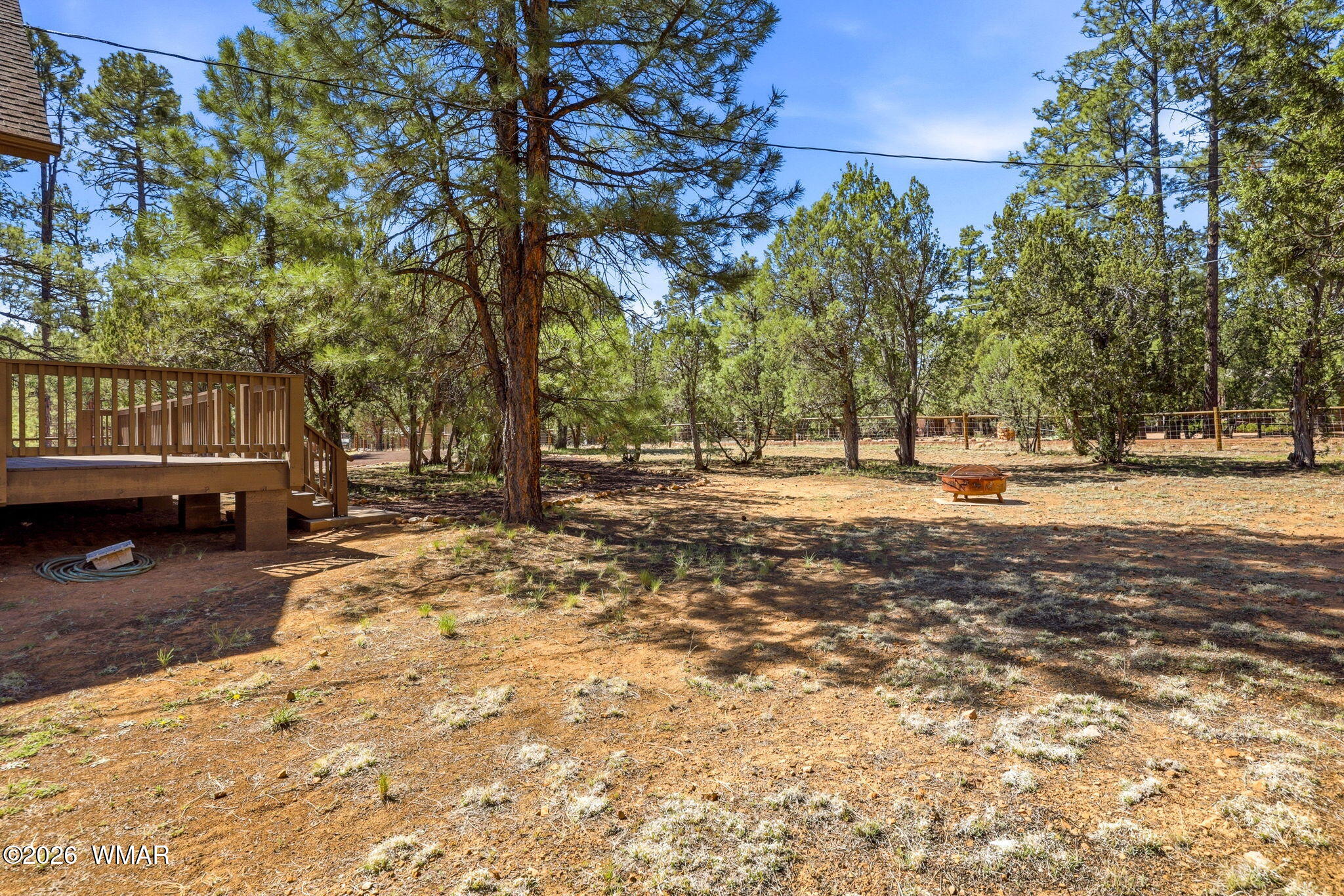 2877 Wahoo Road Overgaard, AZ 85933 - Photo 3 of 42 a view of road with trees
