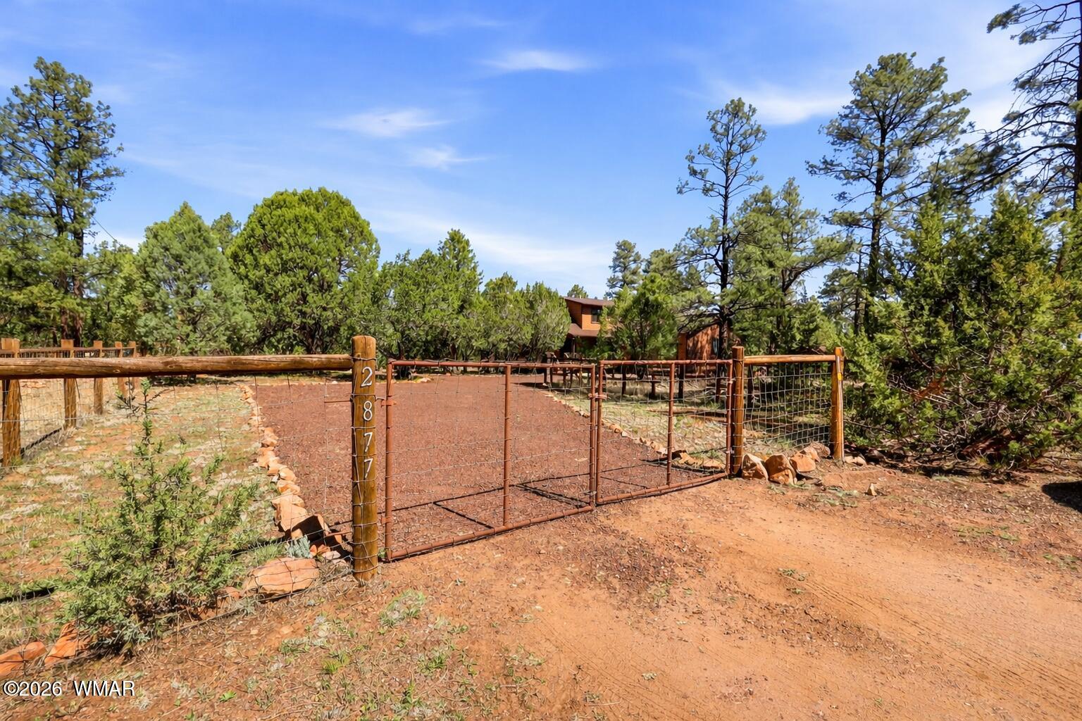 2877 Wahoo Road Overgaard, AZ 85933 - Photo 38 of 42 a view of backyard with trees