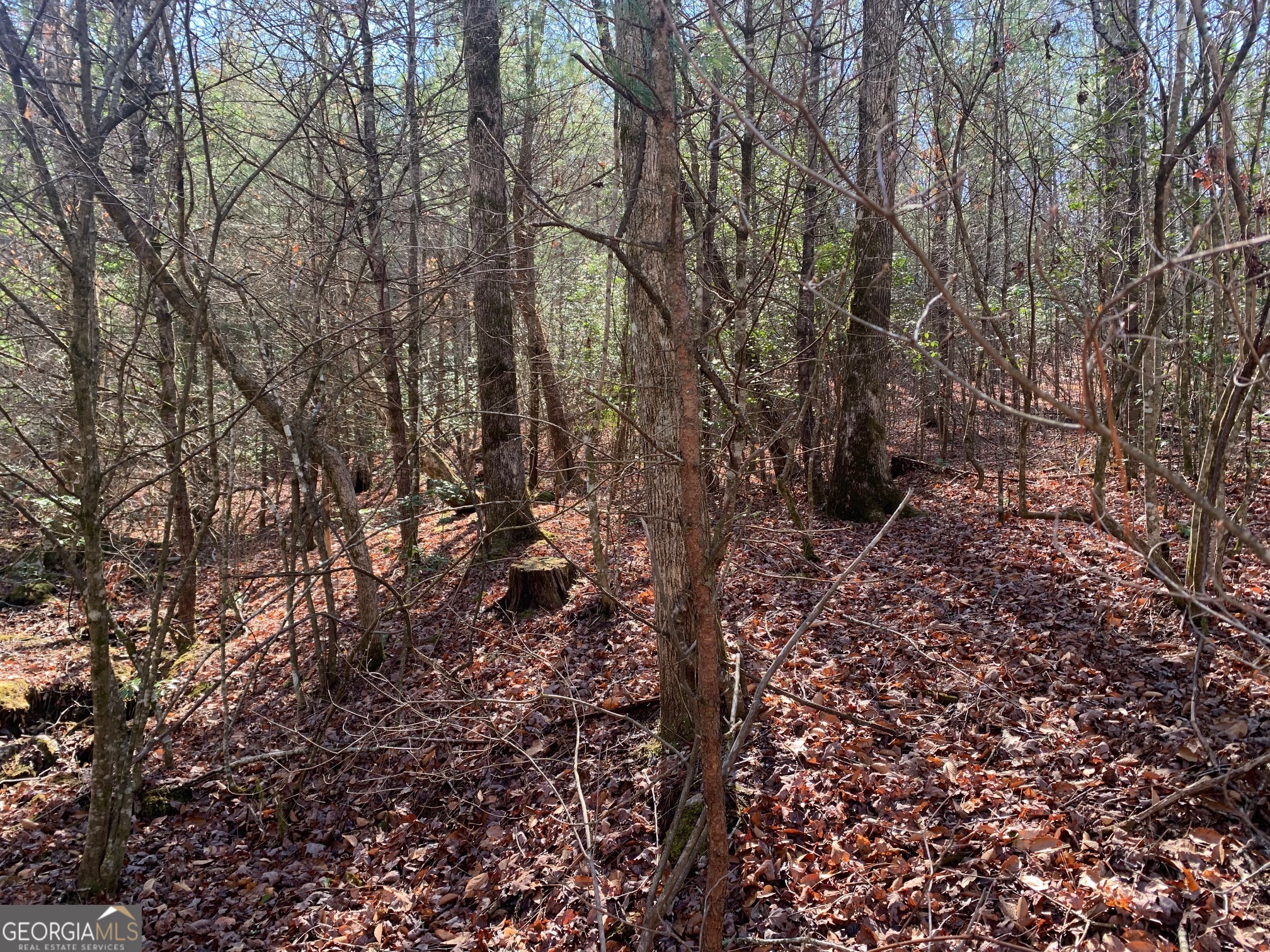 0 East New Hope Road, Unit TRACT B Ellijay, GA 30536 - Photo 11 of 20 Gallery Image 11