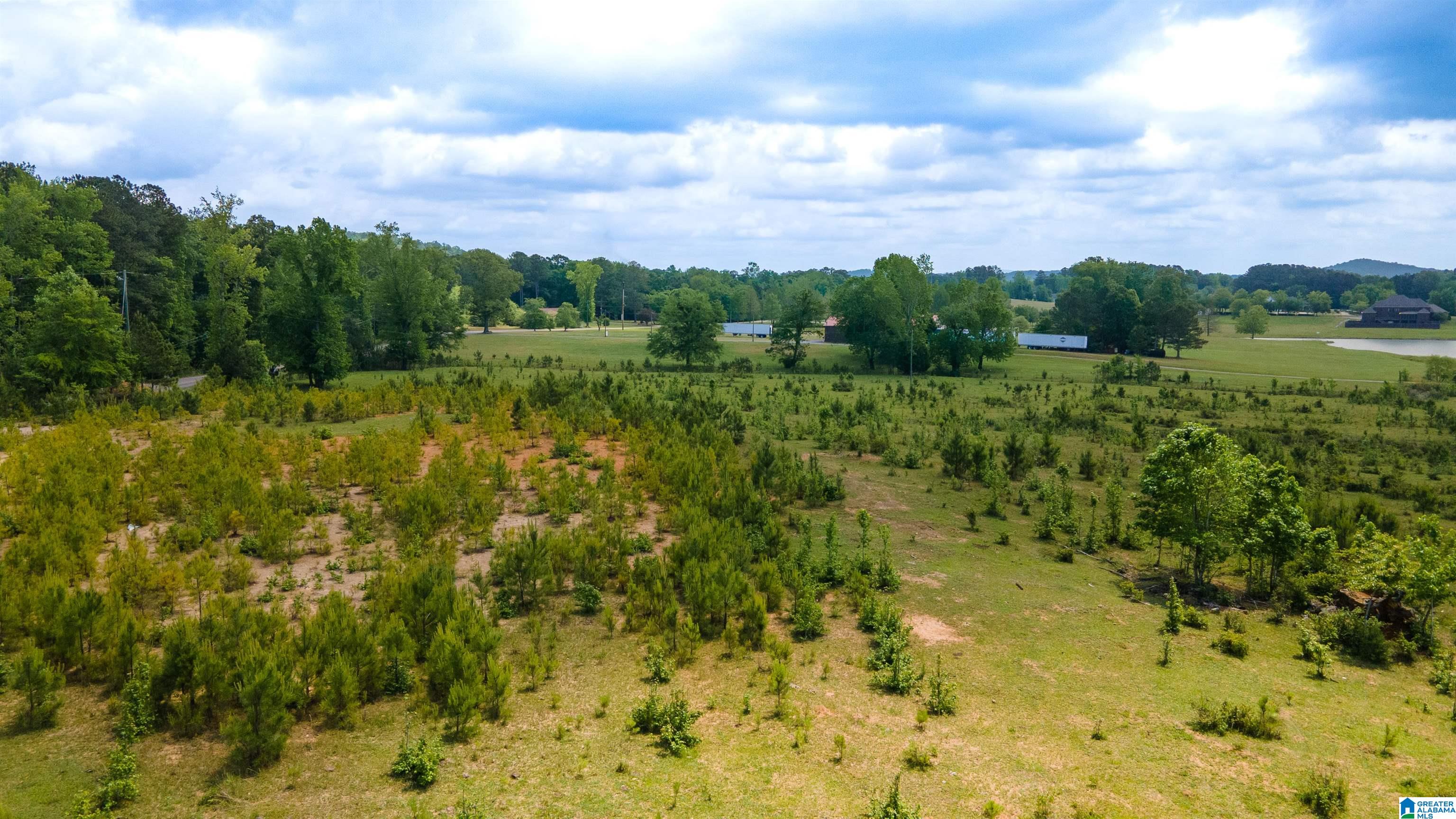 0 Oak Grove Road Gadsden, AL 35905 - Photo 6 of 10