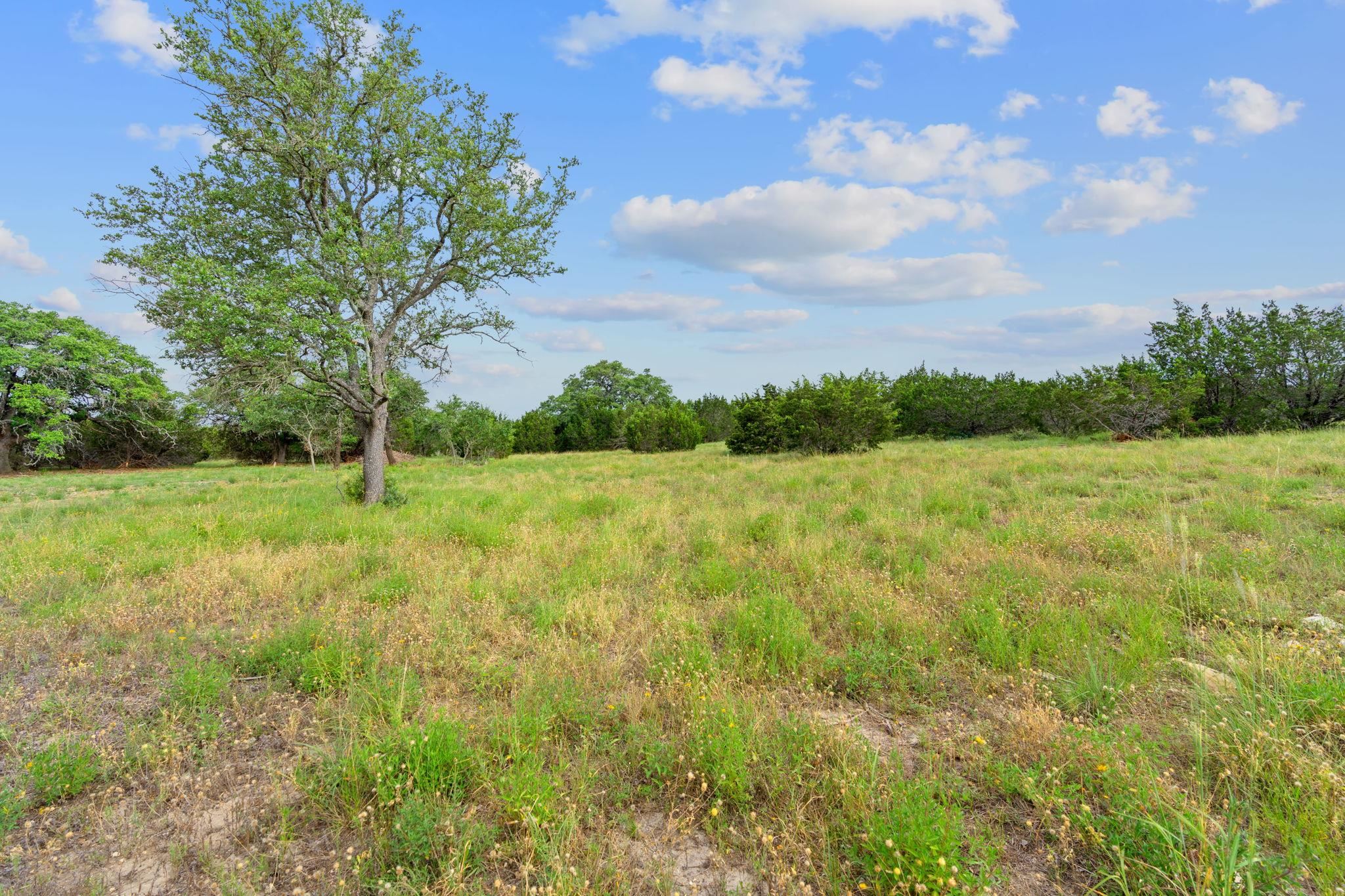 11288 Fm 1174 Bertram, TX 78605 - Photo 7 of 11 a view of a field with an trees