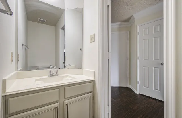 a bathroom with a sink and a mirror